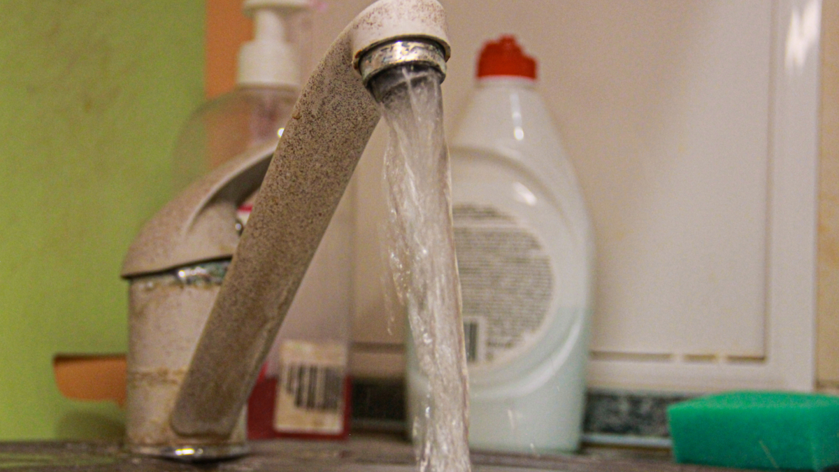 Тихий убийца фиалок — не вредители, а ваша лейка: как не залить комнатные цветы ИА SM-News