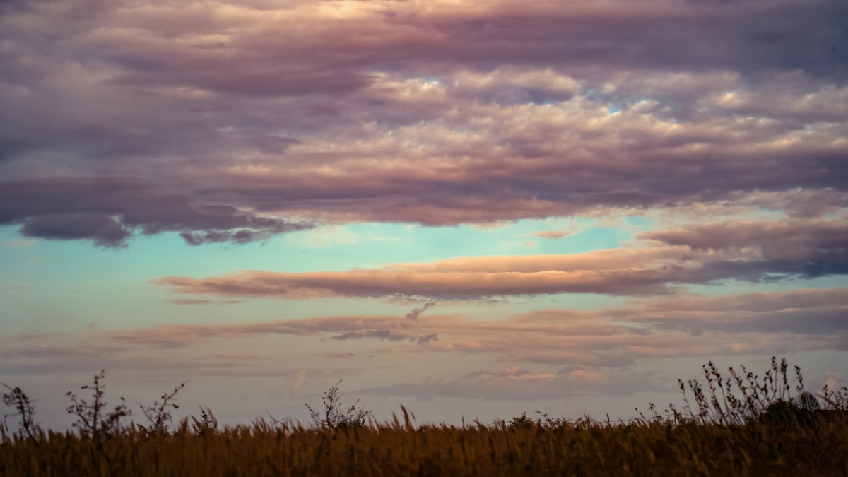 8 декабря 2025 отмечаем День российского казначейства, чествуем художника, именинников не только ИА SM-News