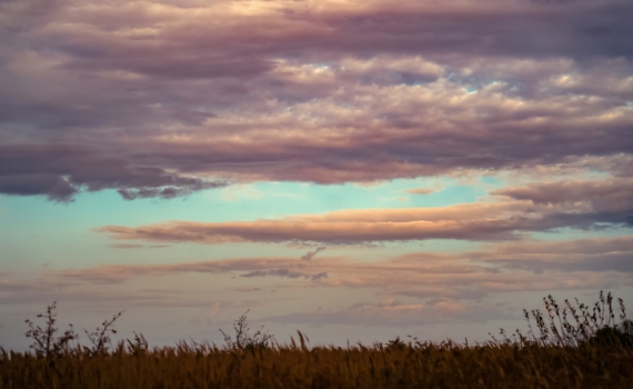 8 декабря 2025 отмечаем День российского казначейства, чествуем художника, именинников не только