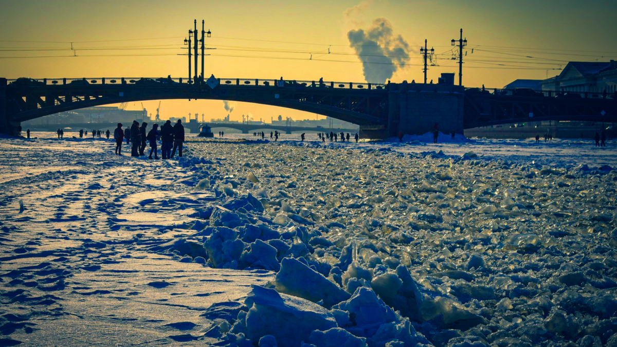 Лёд под ними тает: спутники зафиксировали массовое скопление моржей на берегу — трансформация Арктики ИА SM-News