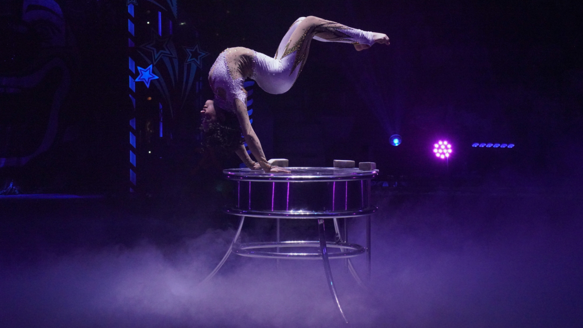 Юбилейный фестиваль «На языке мира» в Туле назвал лучших молодых артистов современного цирка