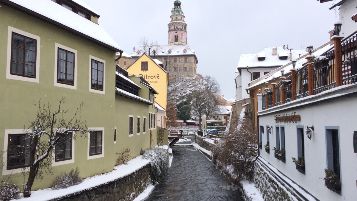 Дробницкий: Трамп не знаком с программными документами своей же администрации ИА SM-News