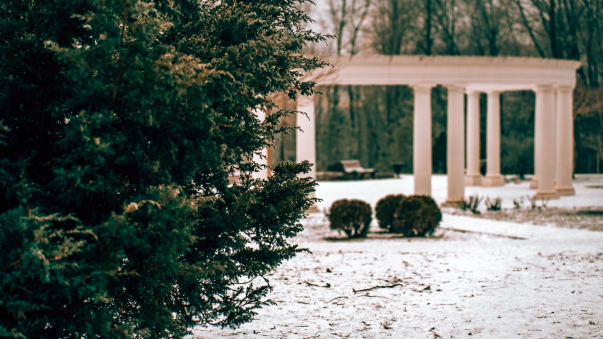 10 декабря 2025 отмечаем День прав человека, животных, марийской письменности и не только ИА SM-News