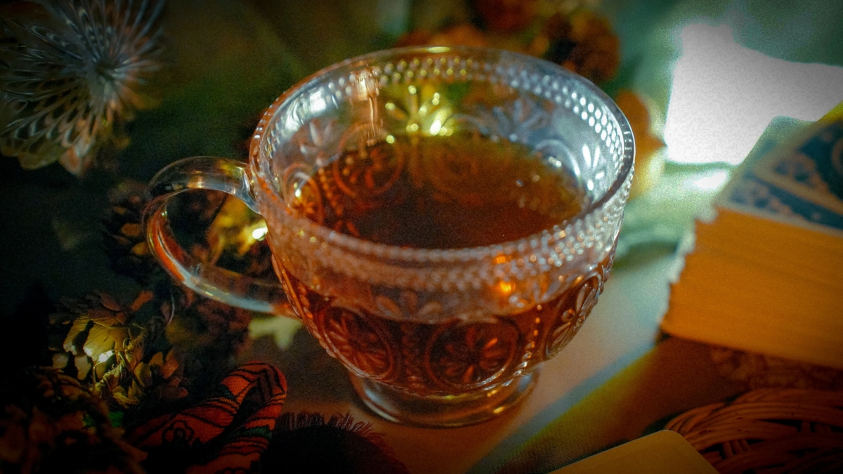 Светлана Мулыкина
