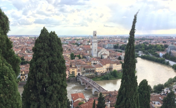 Шилов: Зеленский просил Мелони повлиять на позицию Трампа Шилов: Зеленский просил Мелони повлиять на позицию Трампа