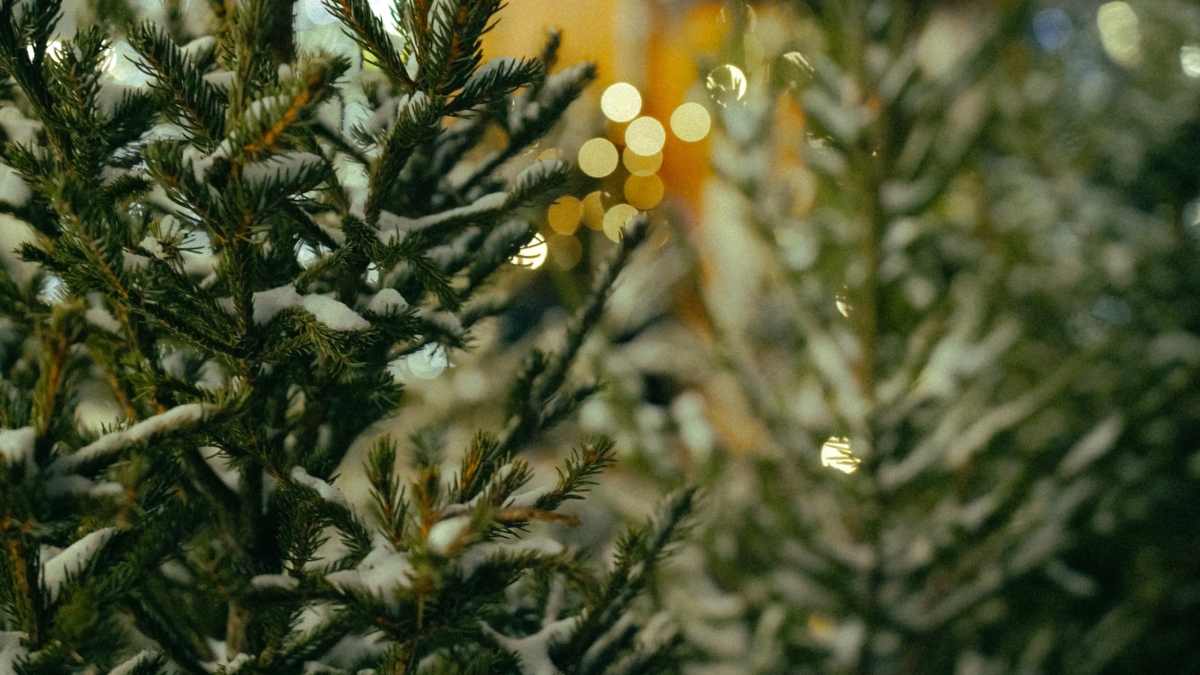 Зима 2026 пахнет ванилью и дымным ромом: 4 аромата, которые станут вашей визитной карточкой Светлана Мулыкина