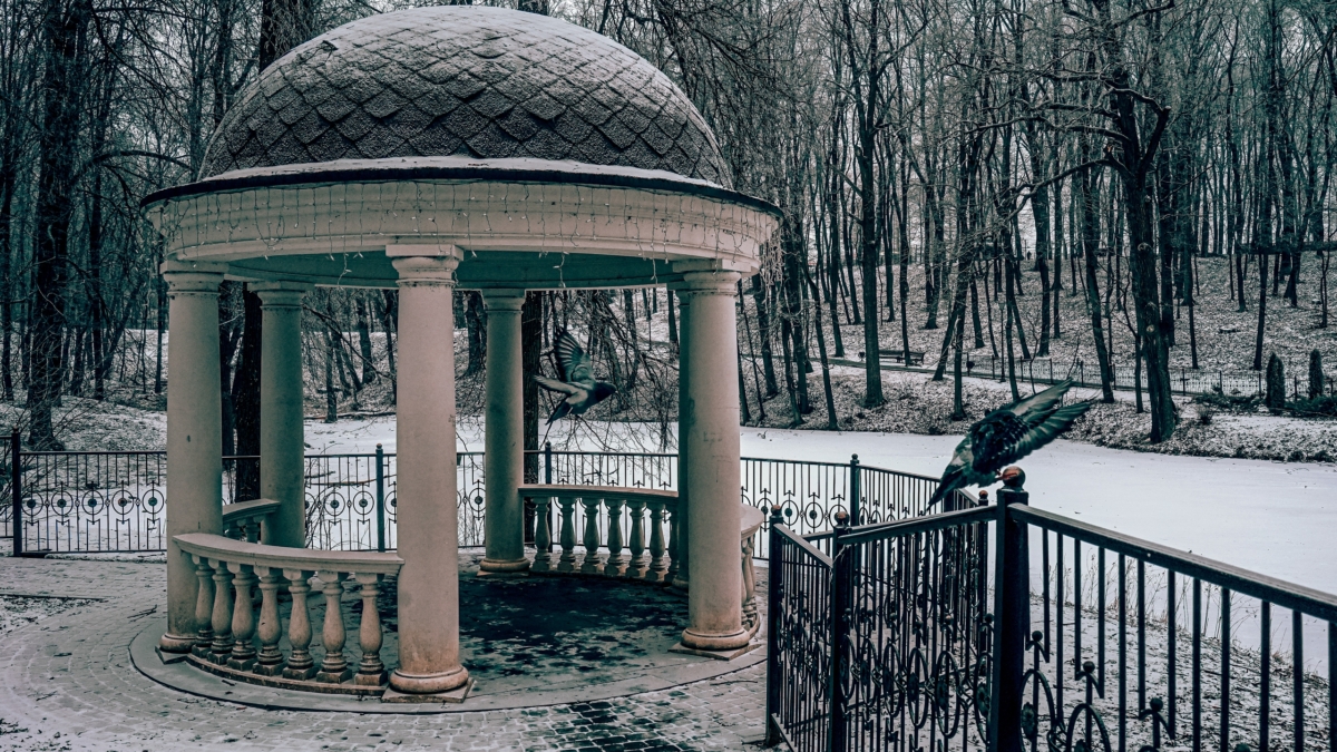 13 декабря 2025: субботник для души или сила бездействия — парадоксальный совет лунного календаря ИА SM-News