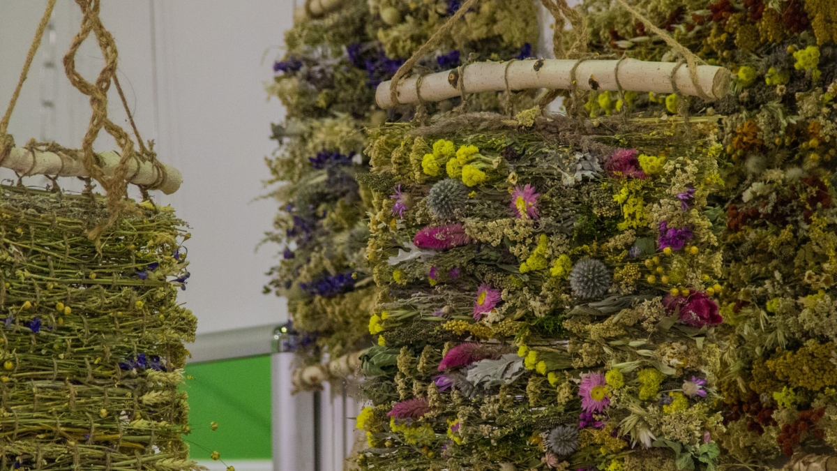 Ароматы способны на многое: как наш мозг реагирует на разные запахи — с пользой для здоровья ИА SM-News