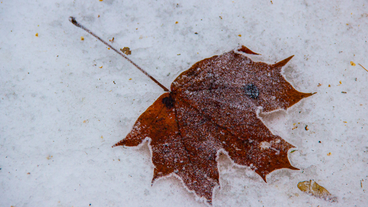 Для Овна, Рака, Девы и Водолея — 13.12.2025 станет днём истины: приготовьтесь, ваш путь изменится ИА SM-News