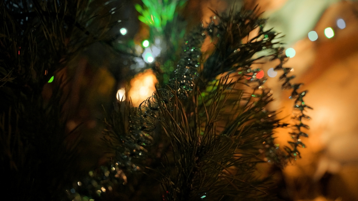 Всегда чистый и свежий дом: простой способ, чтобы всегда пахло приятно Светлана Мулыкина