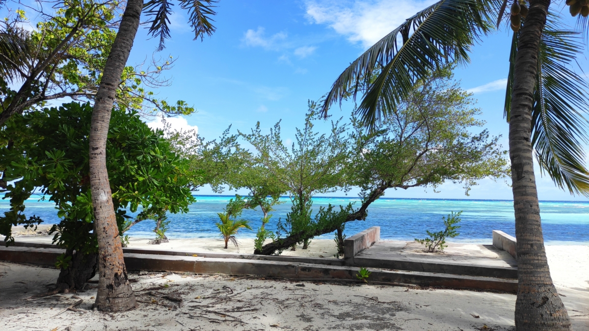 Ясинский: Пиночетисты вновь могут прийти к власти в Чили ИА SM-News