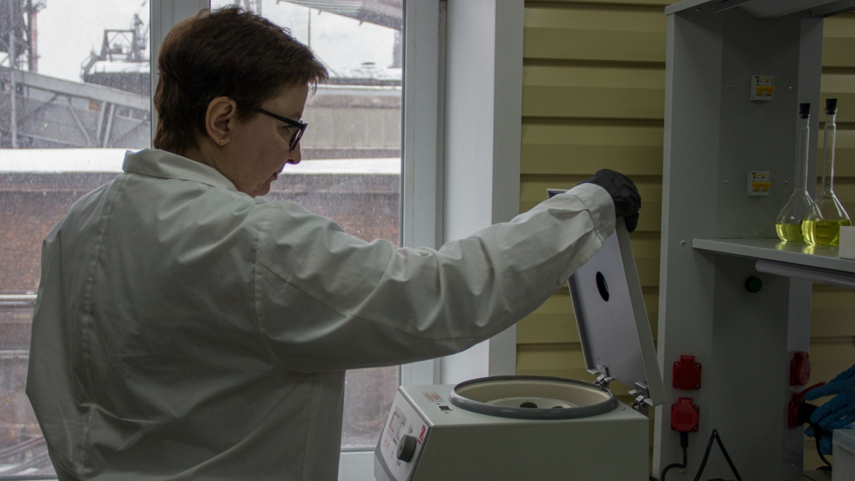 Напиток против старения: российские ученые усилили пользу чайного гриба до максимума ИА SM-News