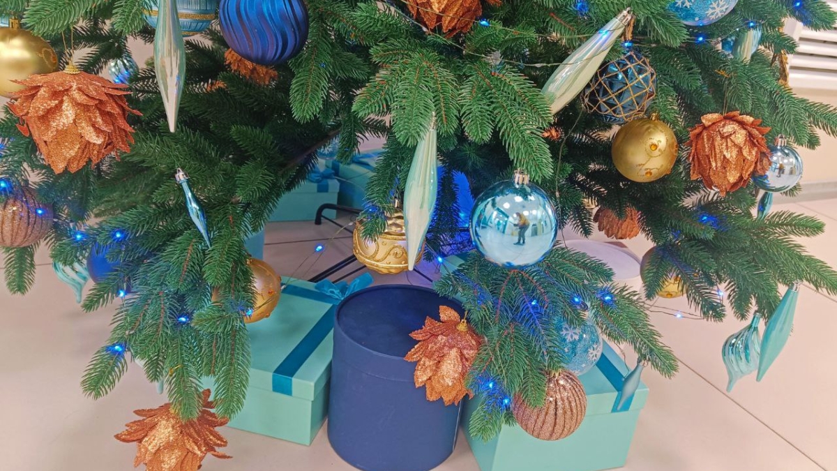 Выберите идеальный день для елки: когда наряжать, чтобы она стала вашим талисманом на весь год ИА SM.News