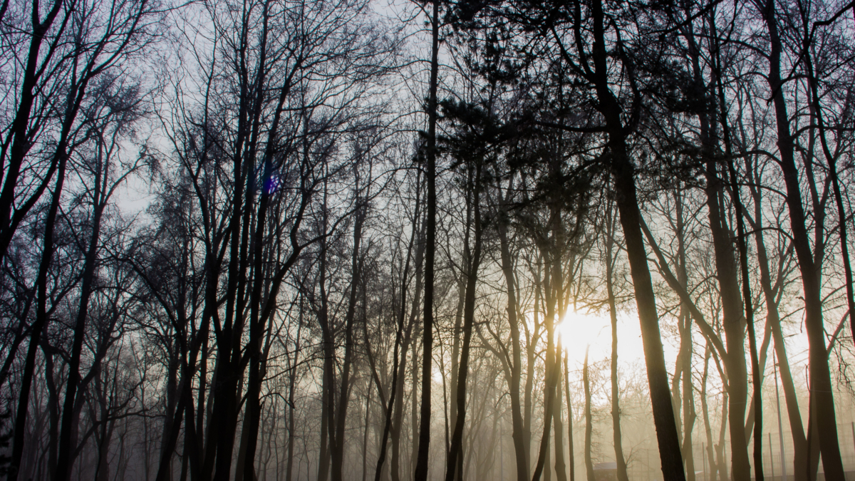 Последний шанс 18 декабря 2025: что можно и нельзя делать до Новолуния, чтобы 2026 год был успешным ИА SM-News