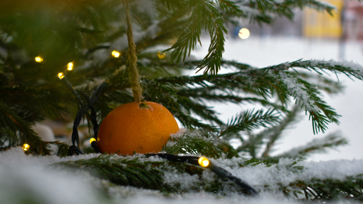 Нужно ли мыть мандарины на Новый год — ответ эксперта вас удивит ИА «Тульская пресса»