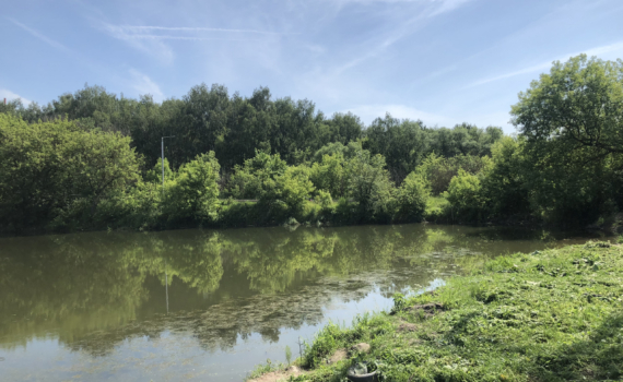 Губернатор Цыбульский рассказал о сотрудничестве РФ и КНР в освоении лесных ресурсов Губернатор Цыбульский рассказал о сотрудничестве РФ и КНР в освоении лесных ресурсов