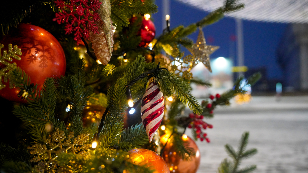 24 декабря 2025 — День Конституции в Башкортостане, Католический Сочельник, именины и не только Светлана Мулыкина