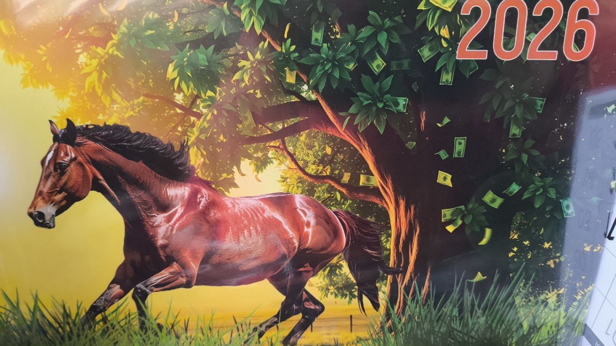 Козероги, 2026 год — Красная Огненная Лошадь развяжет вам руки: финансы подружатся с амбициями ИА SM-News