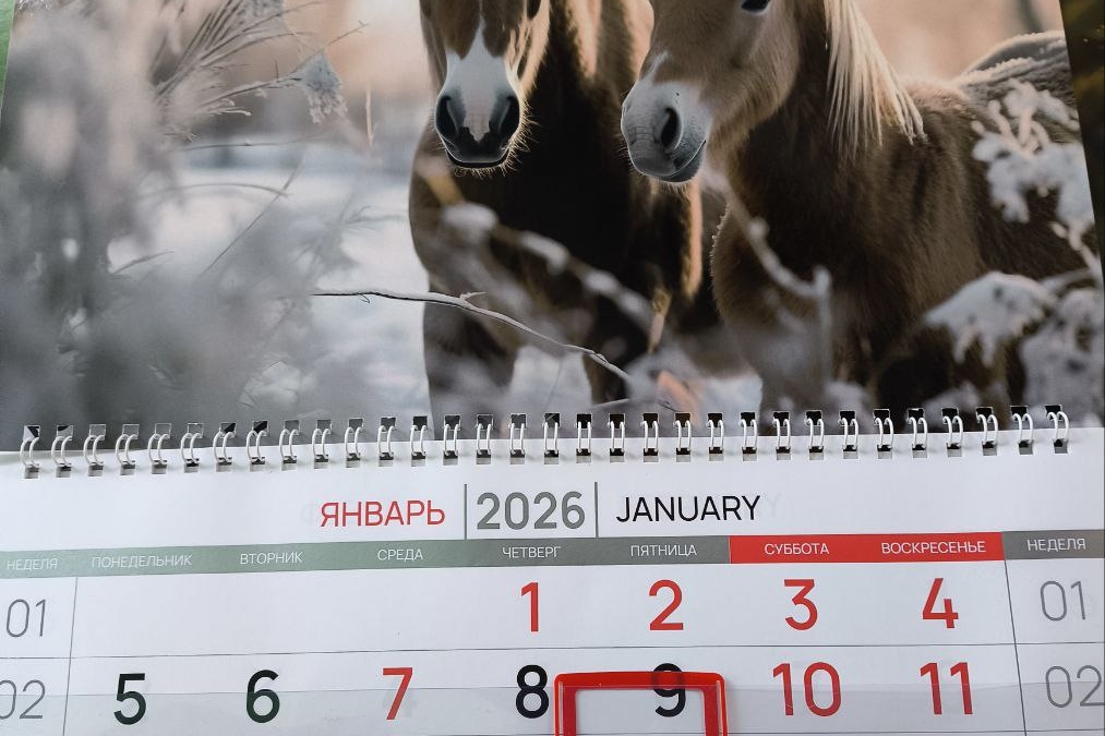 Гид по фазам Луны в январе 2026: финансы, отношения, здоровье — что можно и нельзя делать ИА SM-News