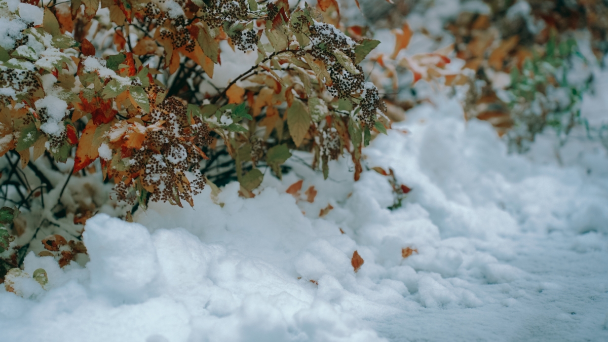Выбросили тысячи на отопление, а спасли дом от холода снегом: дедовский метод для теплых полов Светлана Мулыкина