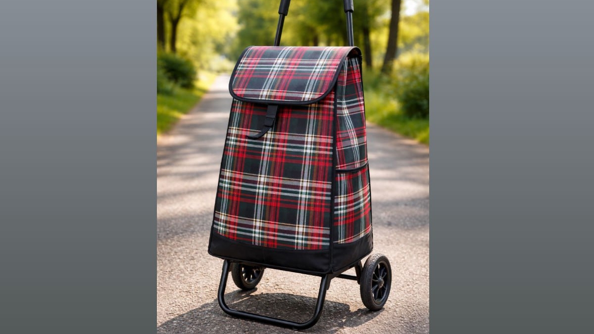 Бабушкина сумка-тележка в тренде: в России аксессуар из прошлого стал лидером продаж на Новый год ИА SM-News, chatgpt.com