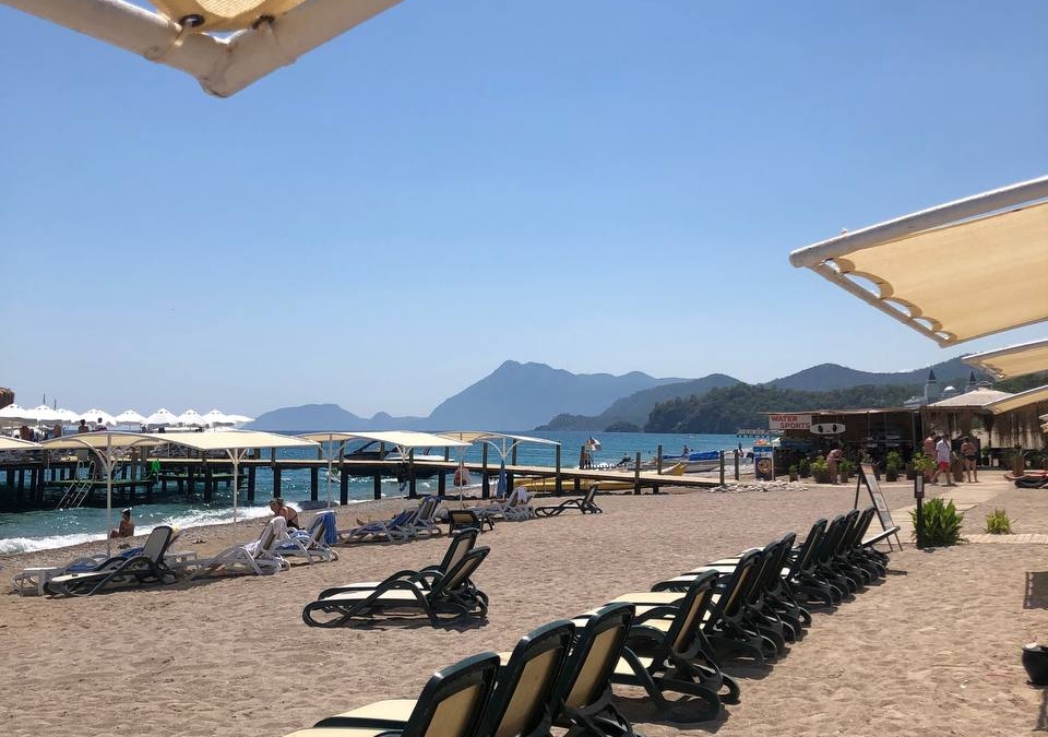 Отдых испорчен: гусеница с розовыми перьями атаковала россиянку в Паттайе — опасная неожиданность ИА SM-News