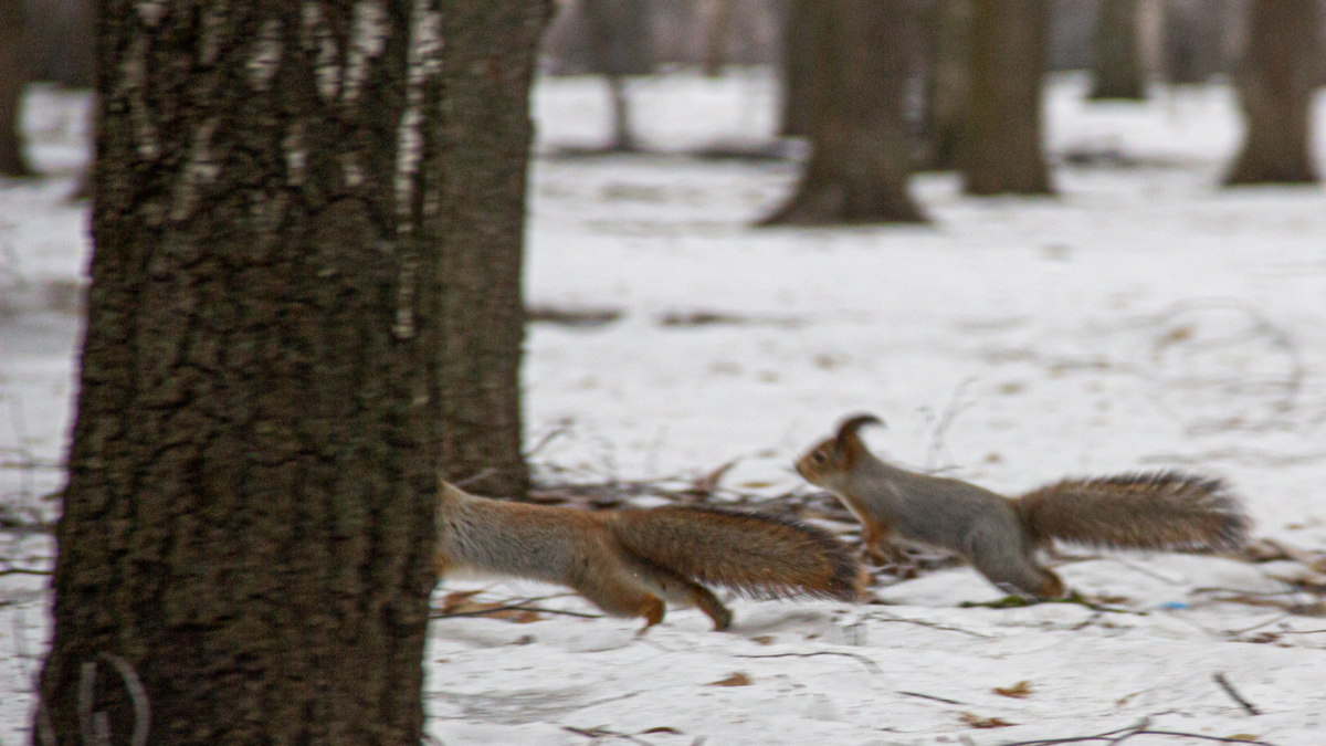 12 января 2026 — отмечаем День сотрудников прокуратуры РФ, дочерей, чествуем именинников и не только ИА SM-News