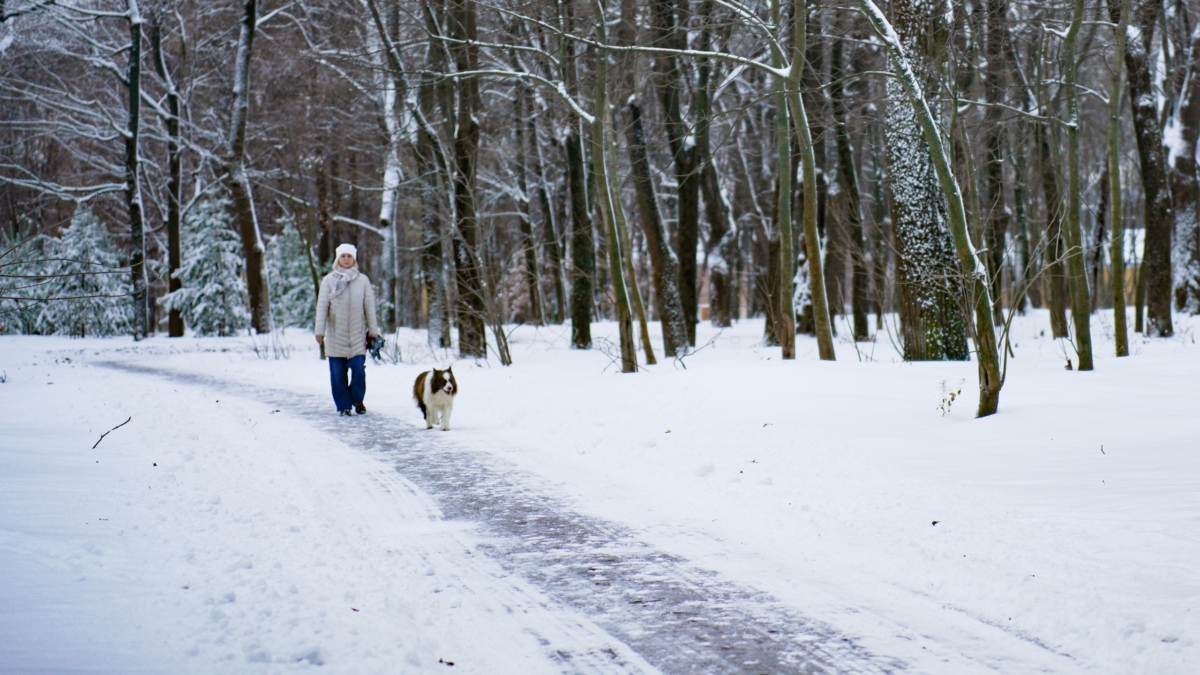Ботинки, в которых можно гулять часами: проверенные варианты для суровой зимы — даже лютых морозов Светлана Мулыкина