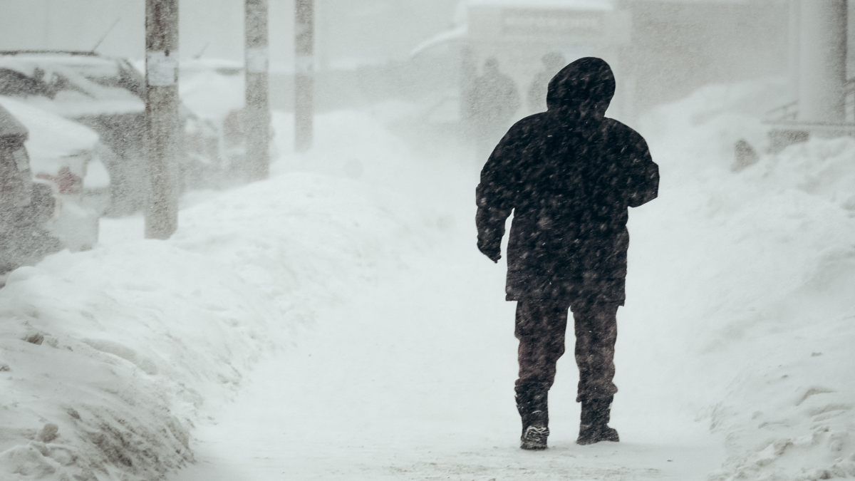 Корнилов: Отношение Дании к Гренландии напоминает отношение Украины к Донбассу Светлана Мулыкина