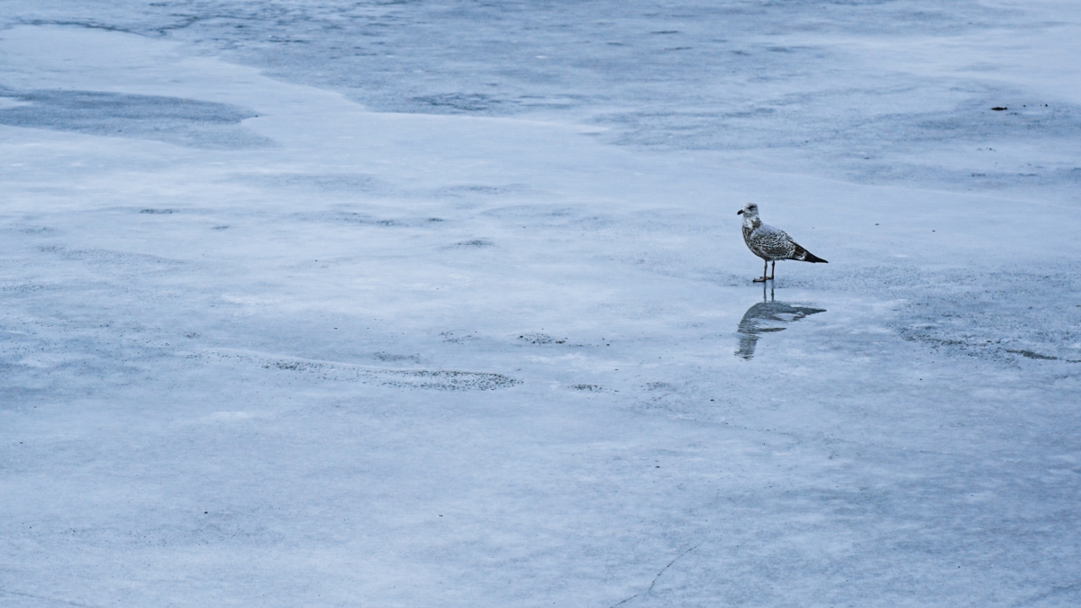 18 января 2026 — отмечаем Крещенский Сочельник, чествуем именинников и не только Светлана Мулыкина