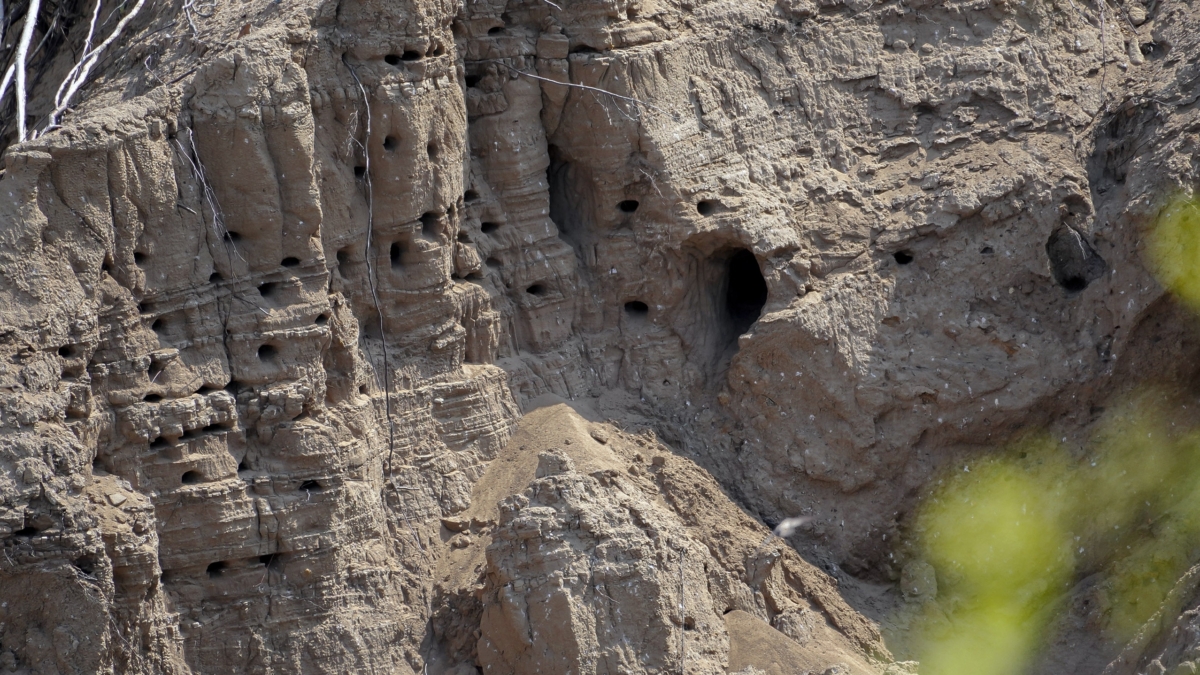 Лава взмыла почти на 500 метров: Килауэа снова напомнил о своей силе — что это за вулкан Светлана Мулыкина