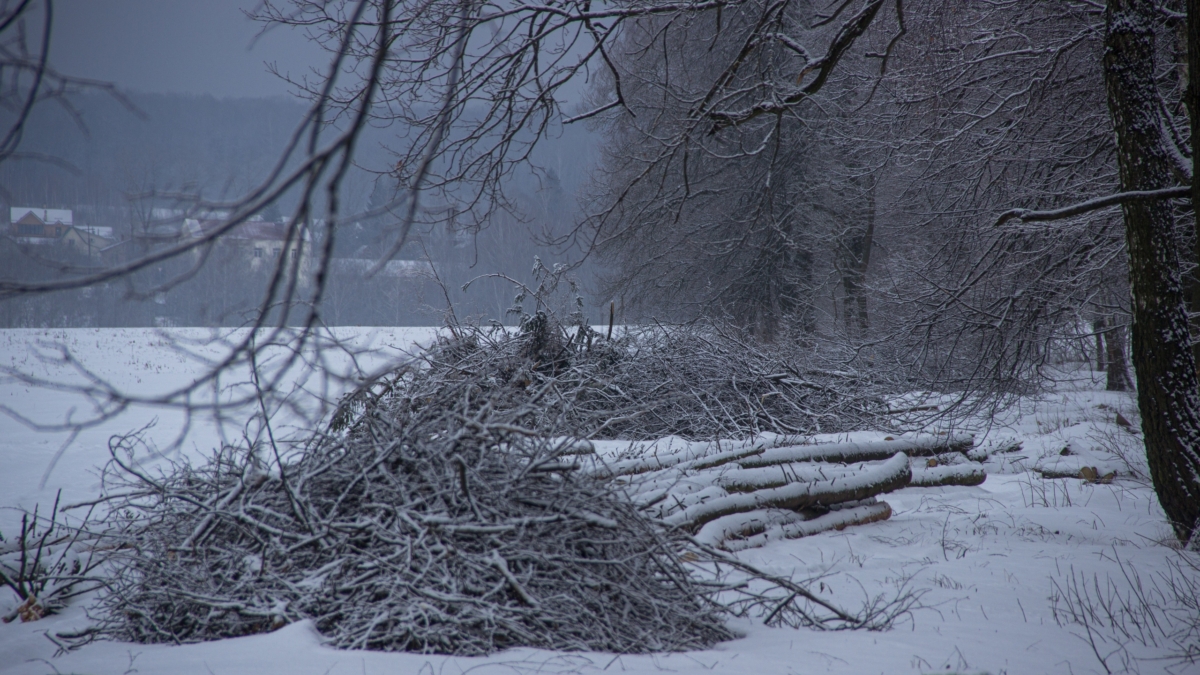 Пила снова режет как новая: простой способ заточки без мастерской — сосед по даче точно позавидует ИА SM-News
