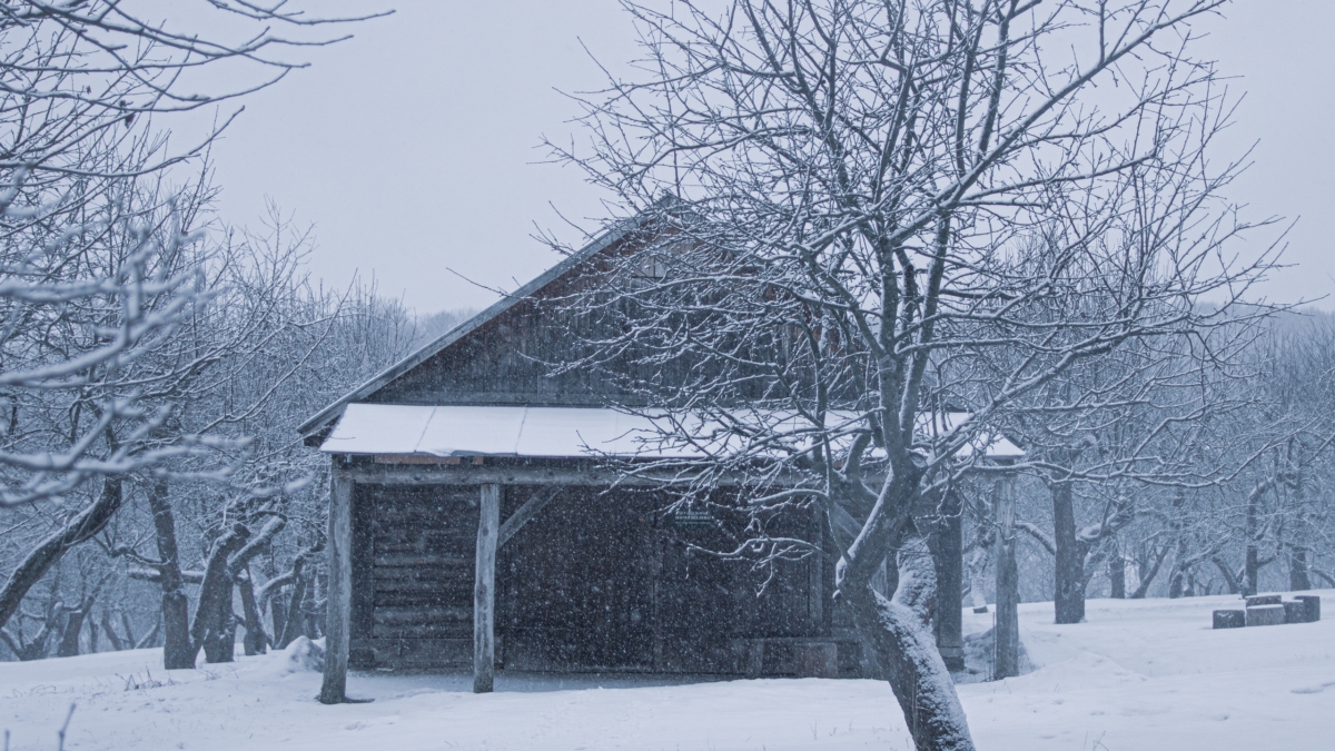 Заморозка без последствий: как сохранить емкости с водой на неотапливаемой даче ИА SM-News