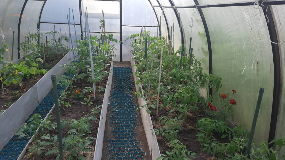 Скоро весна — пора вспомнить, как наши мамы и бабушки строили теплицы без умных гаджетов ИА SM-News