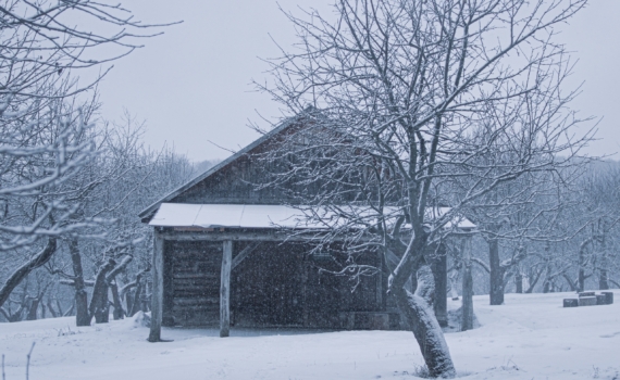 Посоветовал деревенский старик: купил 3 л уксуса — и спокоен до весны: дачникам на земетку Посоветовал деревенский старик: купил 3 л уксуса — и спокоен до весны: дачникам на земетку