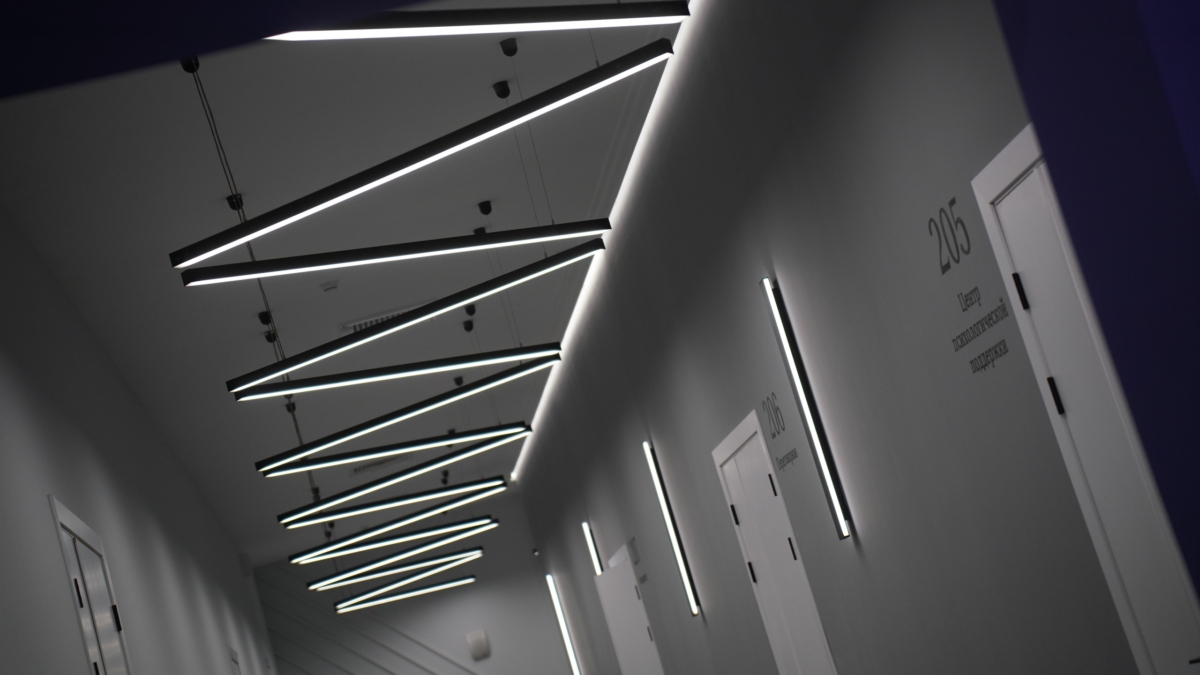 Аналитик Пшеничников: Отказа от Болонской системы недостаточно для возрождения национальной системы образования Светлана Мулыкина