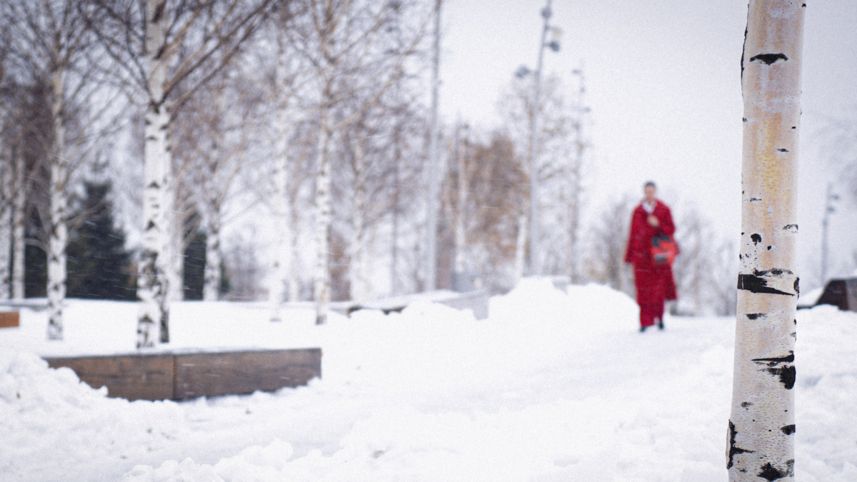 Главные лайфхаки февраля-2026 от Тамары Глоба: где искать любовь, деньги и удачу вашему знаку ИА SM-News