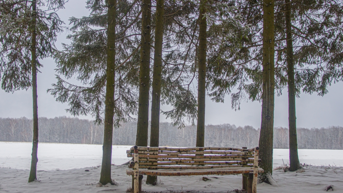 Луна 31 января 2026 укажет — что обнять, а что отпустить без сожаления. Ваш список можно и нельзя ИА SM-News