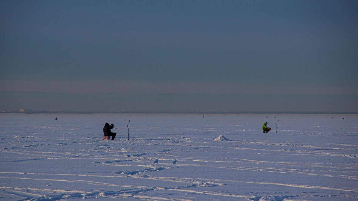Секрет идеальной игры приманки подо льдом: кивок, который принесет улов — зимняя рыбалка в разгаре ИА SM-News