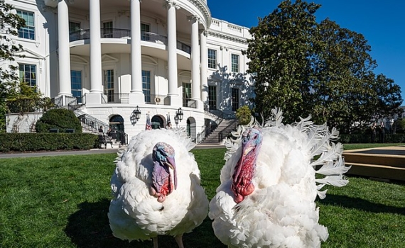 Ясинский: Куба сталкивается с тяжелым кризисом из-за венсуэльских событий Ясинский: Куба сталкивается с тяжелым кризисом из-за венсуэльских событий