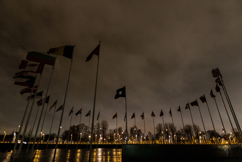 НАТО стало препятствием для деэскалации украинского кризиса Официальный сайт НАТО www.nato.int