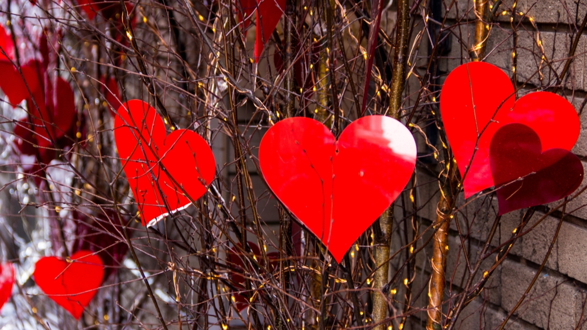 Главное — не упаковка, а смысл: подарок на 14 февраля может стать началом нового этапа для двоих ИА SM-News