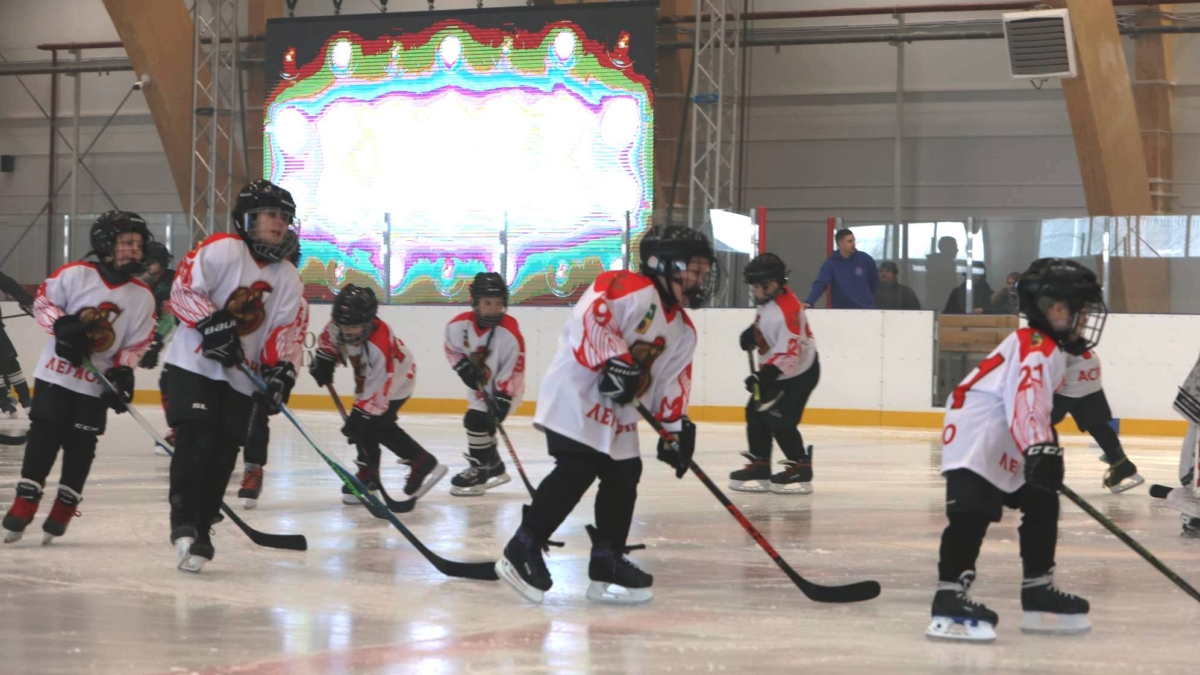 Томский губернатор открыл круглогодичный ледовый корт в Асине