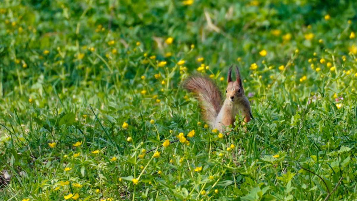Помогите организму при смене сезона: советы по адаптации к весне Светлана Мулыкина