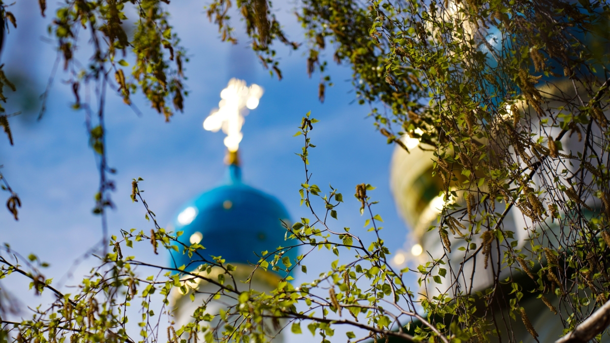 Луговой: Сорос продвигает цветные революции и деструктивные идеологии Светлана Мулыкина