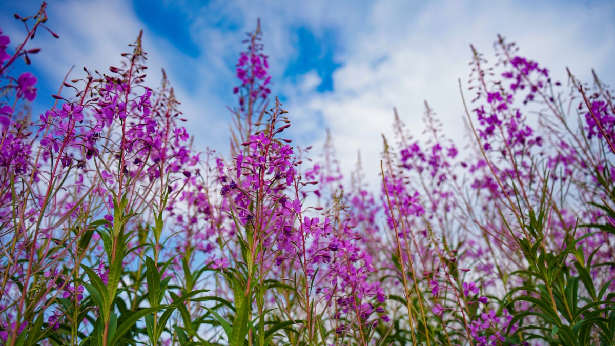 Вы заметили, что годы пролетают как мгновения: ученые нашли причину — и способ все исправить Светлана Мулыкина