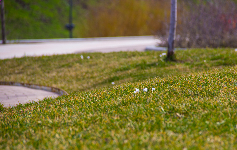 Вы думаете, что клещи только в мае: 5 фактов от экспертов, которые изменят ваше мнение в 2026 году ИА SM-News