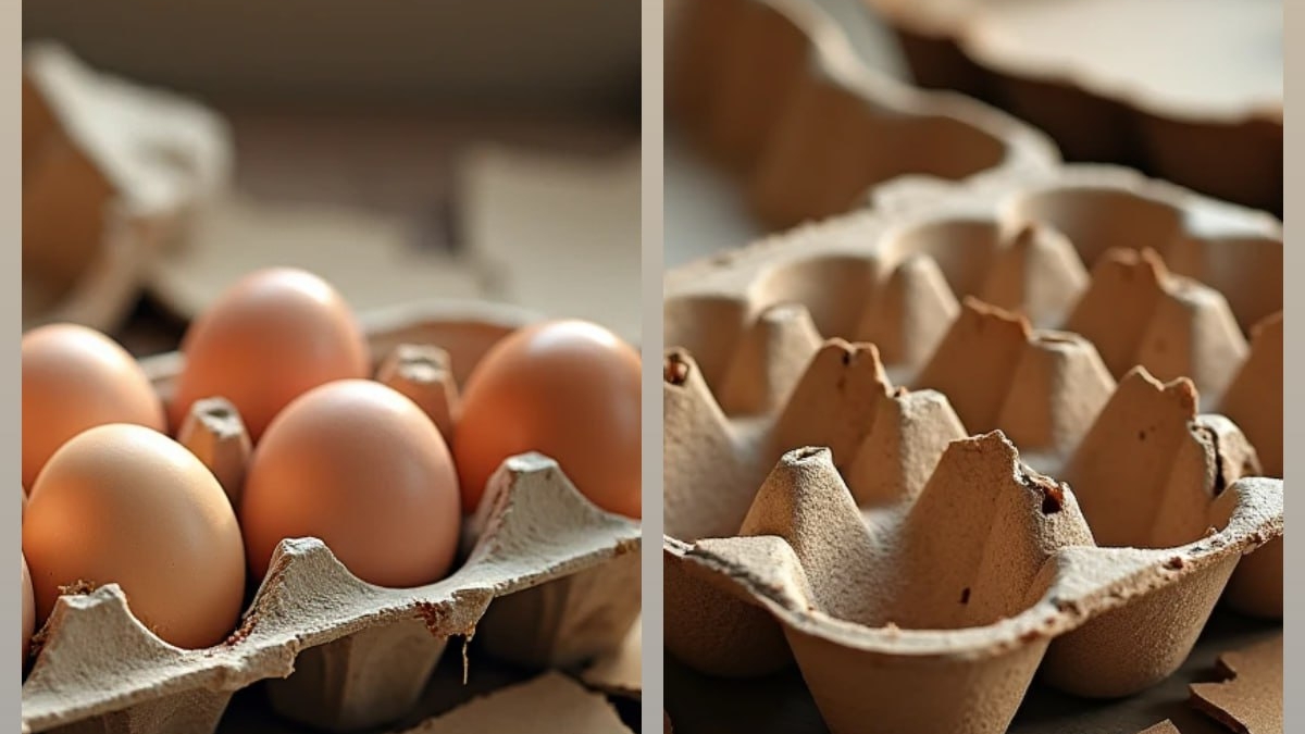 Собрали 220 кг картошки: секрет — колорадский жук исчез без химии и переплат, простой метод ИА SM-News, seaart.ai