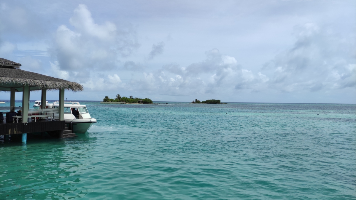 Ясинский: На Кубе расследуют попытку вторжения США ИА SM-News