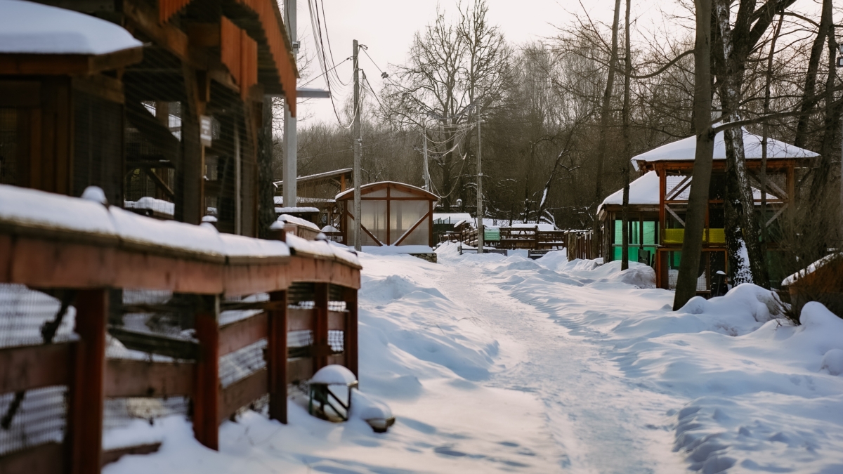 Куда уходит ток? Секрет заземления, о котором молчат строители — никакой магии, только физика ИА SM-News